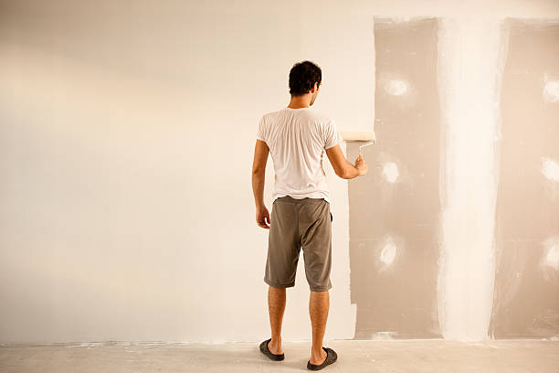 Best Drywall Removal and Disposal  in Eagle, WI